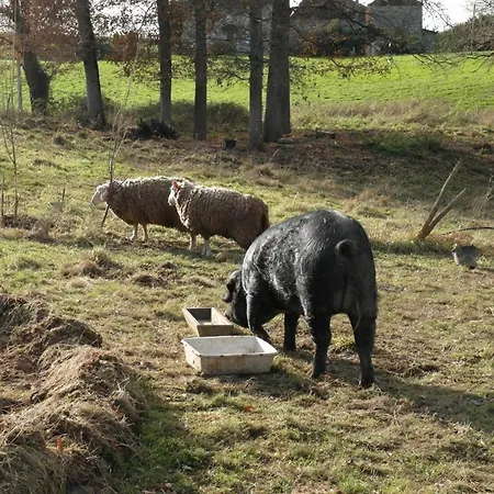 - D'hôtes Acoucoula Couette-café