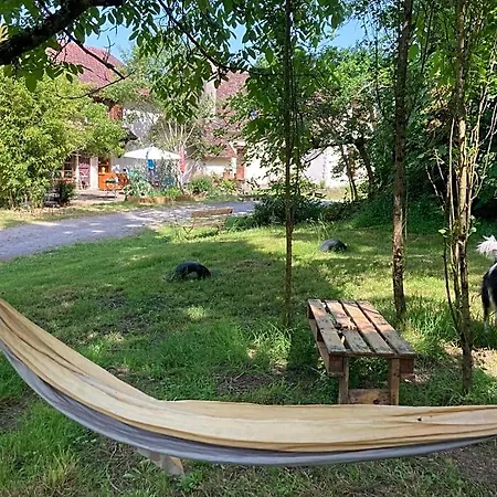 - D'hotes Acoucoula 3* Orthez