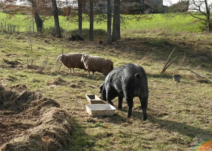 - D'hotes Acoucoula Bed & Breakfast